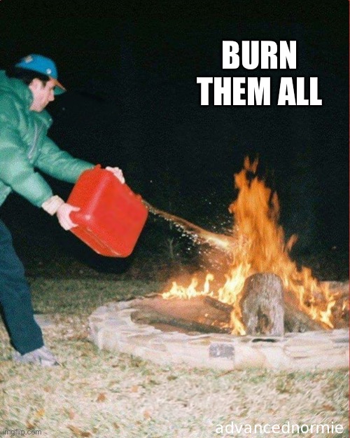 pouring gas on fire | BURN THEM ALL | image tagged in pouring gas on fire | made w/ Imgflip meme maker