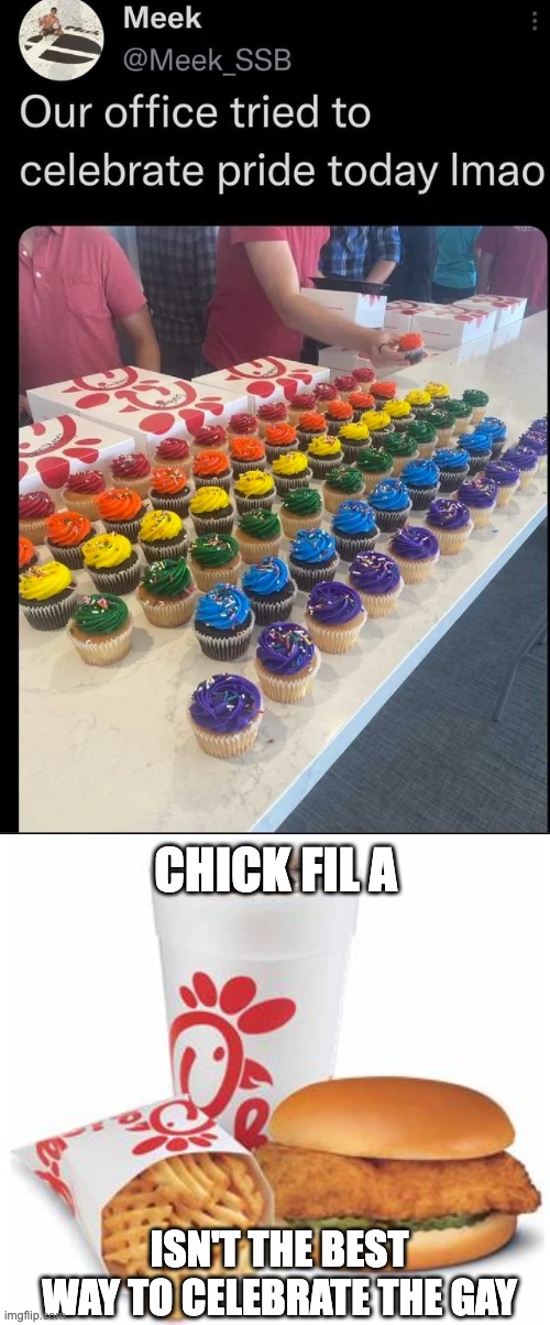 ouch | CHICK FIL A; ISN'T THE BEST WAY TO CELEBRATE THE GAY | image tagged in chick-fil-a,memes | made w/ Imgflip meme maker