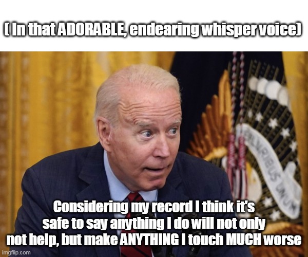 SO glad he did nothing for the first 47 years | ( In that ADORABLE, endearing whisper voice); Considering my record I think it's safe to say anything I do will not only not help, but make ANYTHING I touch MUCH worse | image tagged in stupid stuttering thieving mutt | made w/ Imgflip meme maker