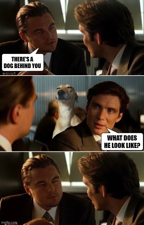 Inception | THERE'S A DOG BEHIND YOU; WHAT DOES HE LOOK LIKE? | image tagged in memes,inception,dog | made w/ Imgflip meme maker