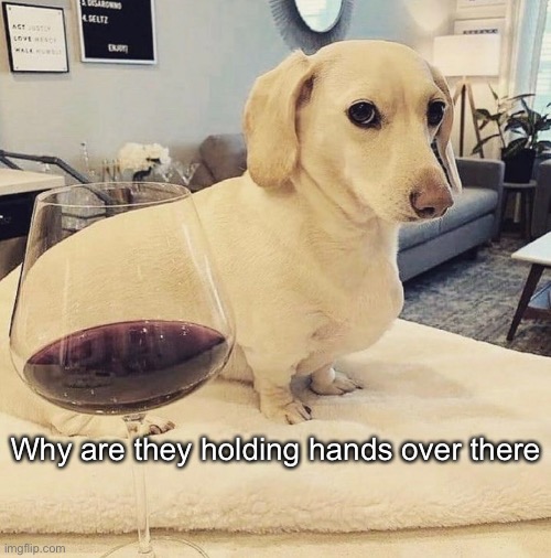 Homophobic Dog | Why are they holding hands over there | image tagged in homophobic dog | made w/ Imgflip meme maker