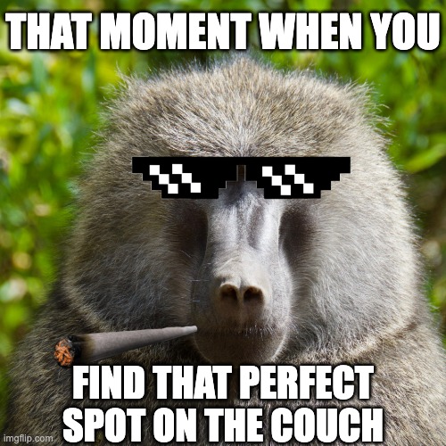 Smoking Monke | THAT MOMENT WHEN YOU; FIND THAT PERFECT SPOT ON THE COUCH | image tagged in smoking monke | made w/ Imgflip meme maker