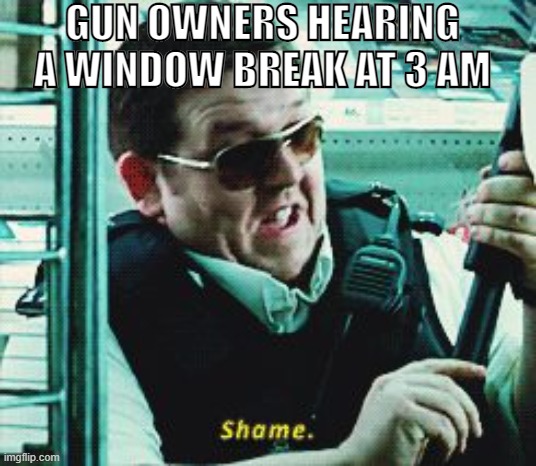 Gun owners be like | GUN OWNERS HEARING A WINDOW BREAK AT 3 AM | image tagged in shame | made w/ Imgflip meme maker