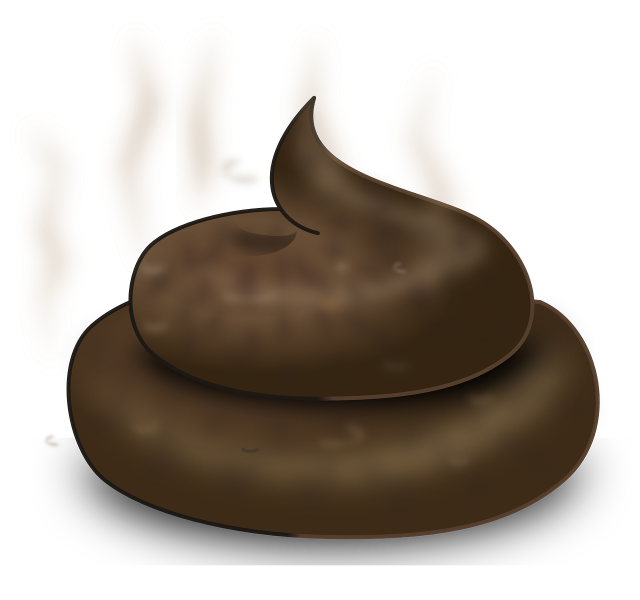 High Quality Turd with transparency Blank Meme Template