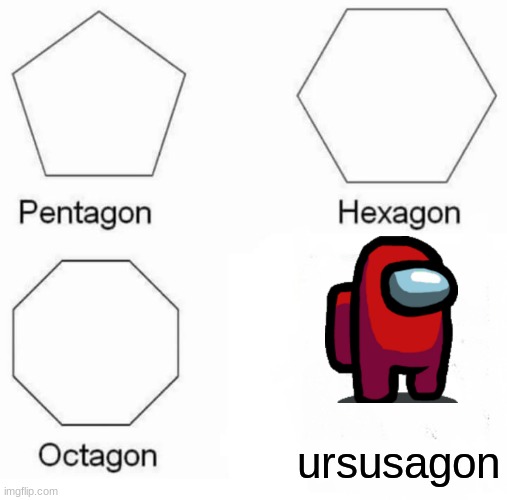ursusagon | ursusagon | image tagged in memes,pentagon hexagon octagon | made w/ Imgflip meme maker