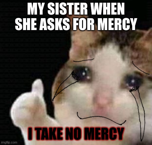 Me during a fight with my sister | MY SISTER WHEN SHE ASKS FOR MERCY; I TAKE NO MERCY | image tagged in sad thumbs up cat | made w/ Imgflip meme maker