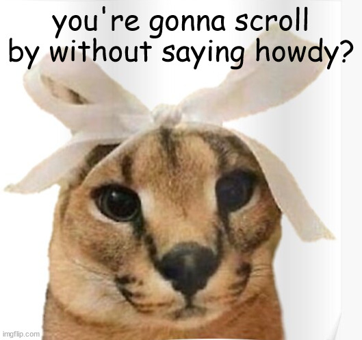 Miss Floppa | you're gonna scroll by without saying howdy? | image tagged in miss floppa | made w/ Imgflip meme maker