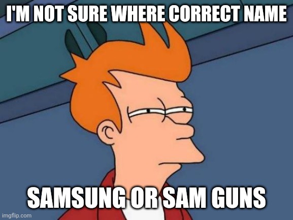 Futurama Fry Meme | I'M NOT SURE WHERE CORRECT NAME; SAMSUNG OR SAM GUNS | image tagged in memes,futurama fry,samsung,sam,guns | made w/ Imgflip meme maker