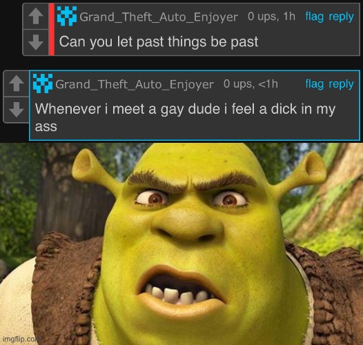 image tagged in shrek autism | made w/ Imgflip meme maker