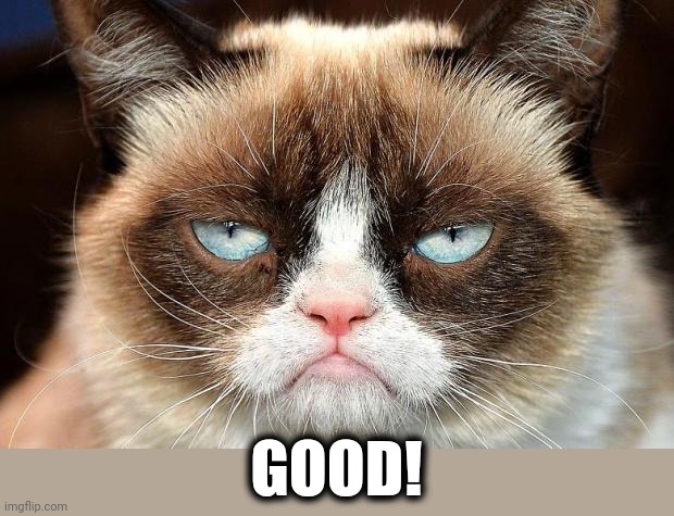 Grumpy Cat Not Amused Meme | GOOD! | image tagged in memes,grumpy cat not amused,grumpy cat | made w/ Imgflip meme maker