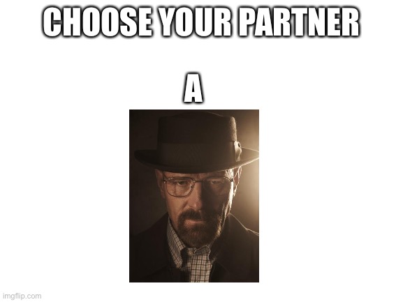 Blank White Template | CHOOSE YOUR PARTNER; A | image tagged in blank white template | made w/ Imgflip meme maker