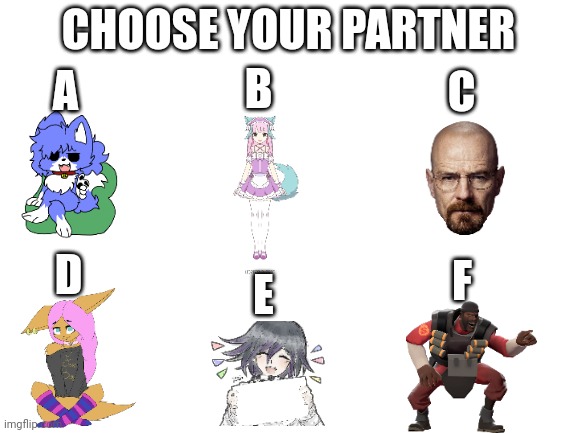 Blank White Template | CHOOSE YOUR PARTNER; B; C; A; D; F; E | image tagged in blank white template | made w/ Imgflip meme maker