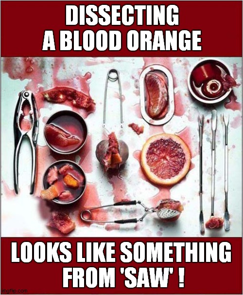 Not For Me Thanks ! | DISSECTING A BLOOD ORANGE; LOOKS LIKE SOMETHING
 FROM 'SAW' ! | image tagged in dissecting,blood oranges,saw | made w/ Imgflip meme maker