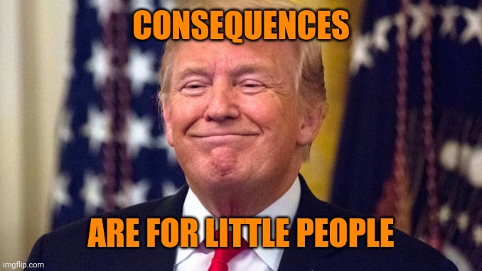Smug Trump | CONSEQUENCES ARE FOR LITTLE PEOPLE | image tagged in smug trump | made w/ Imgflip meme maker
