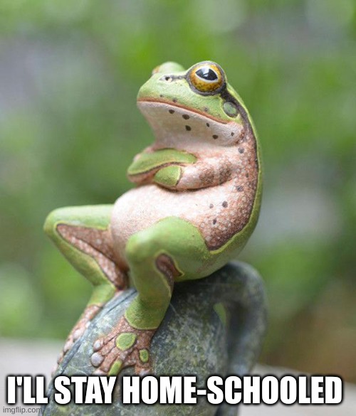 nah frog | I'LL STAY HOME-SCHOOLED | image tagged in nah frog | made w/ Imgflip meme maker