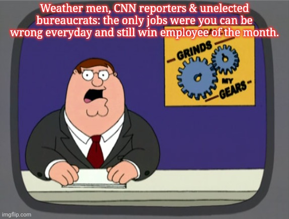 Peter Griffin News Meme | Weather men, CNN reporters & unelected bureaucrats: the only jobs were you can be wrong everyday and still win employee of the month. | image tagged in memes,peter griffin news | made w/ Imgflip meme maker
