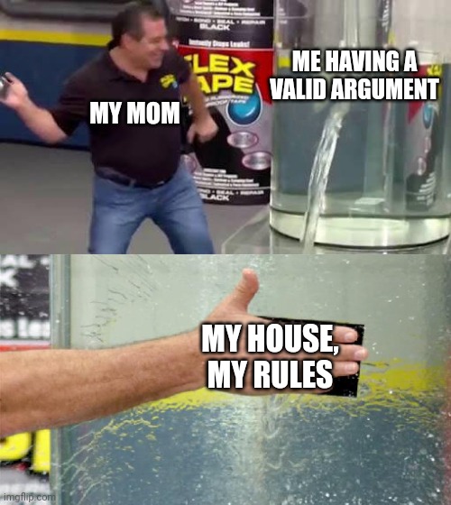 Their da same | ME HAVING A VALID ARGUMENT; MY MOM; MY HOUSE, MY RULES | image tagged in flex tape | made w/ Imgflip meme maker