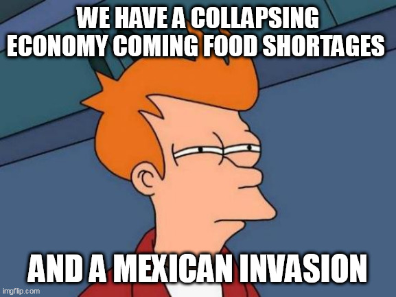 Futurama Fry | WE HAVE A COLLAPSING ECONOMY COMING FOOD SHORTAGES; AND A MEXICAN INVASION | image tagged in memes,futurama fry | made w/ Imgflip meme maker
