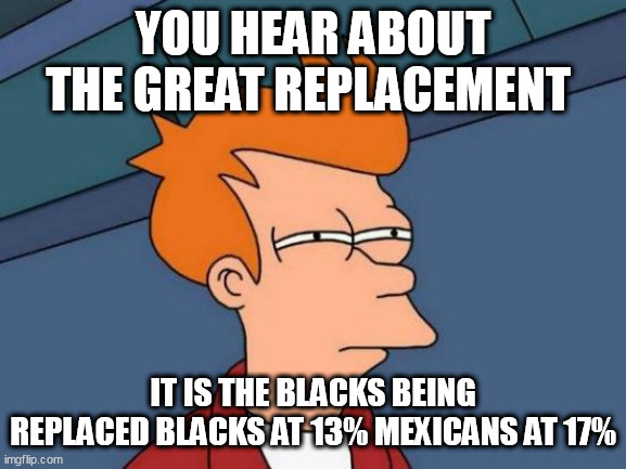 Futurama Fry | YOU HEAR ABOUT THE GREAT REPLACEMENT; IT IS THE BLACKS BEING REPLACED BLACKS AT 13% MEXICANS AT 17% | image tagged in memes,futurama fry | made w/ Imgflip meme maker