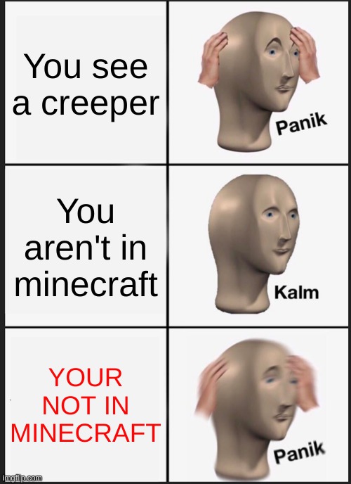 ruh-roh | You see a creeper; You aren't in minecraft; YOUR NOT IN MINECRAFT | image tagged in memes,panik kalm panik | made w/ Imgflip meme maker