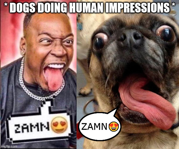 * DOGS DOING HUMAN IMPRESSIONS * ZAMN? | made w/ Imgflip meme maker