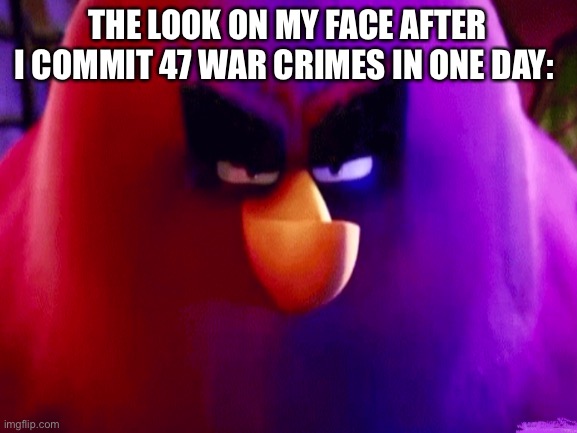 Terrence | THE LOOK ON MY FACE AFTER I COMMIT 47 WAR CRIMES IN ONE DAY: | image tagged in funny bird | made w/ Imgflip meme maker
