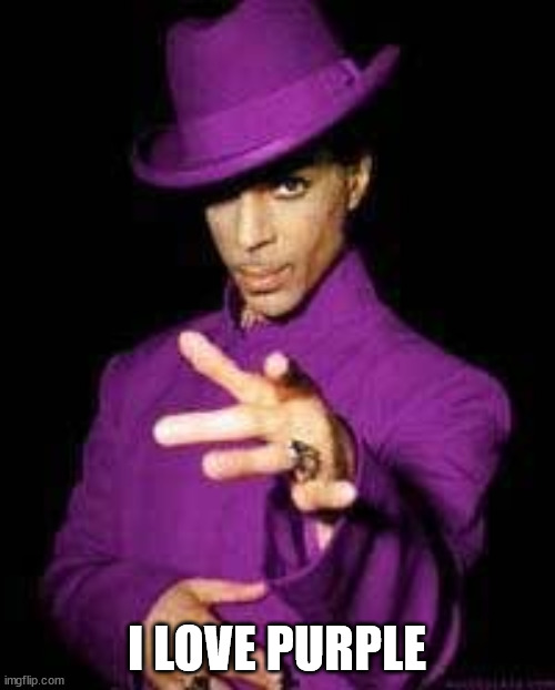 prince rogers nelson | I LOVE PURPLE | image tagged in prince rogers nelson | made w/ Imgflip meme maker