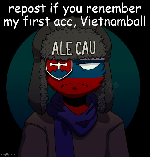 slovak | repost if you renember my first acc, Vietnamball | image tagged in slovak | made w/ Imgflip meme maker