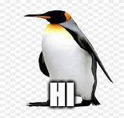 penguin spot the difference | HOI; HI | image tagged in gifs,fun | made w/ Imgflip images-to-gif maker