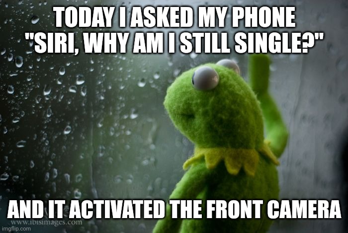 *sobbing* | TODAY I ASKED MY PHONE "SIRI, WHY AM I STILL SINGLE?"; AND IT ACTIVATED THE FRONT CAMERA | image tagged in kermit window,ugly,single,siri,phone | made w/ Imgflip meme maker