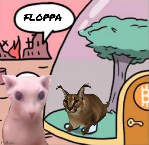 Floppa or Bingus - Imgflip