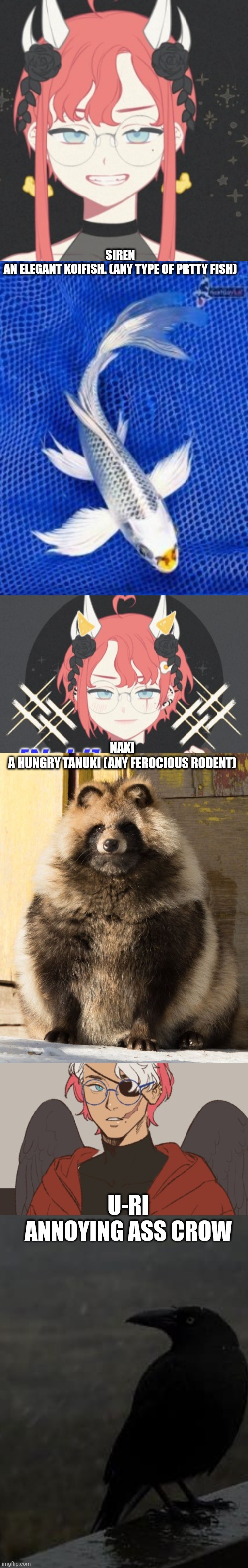 I was bored... | SIREN


AN ELEGANT KOIFISH. (ANY TYPE OF PRTTY FISH); NAKI


A HUNGRY TANUKI (ANY FEROCIOUS RODENT); U-RI


ANNOYING ASS CROW | image tagged in ocs | made w/ Imgflip meme maker