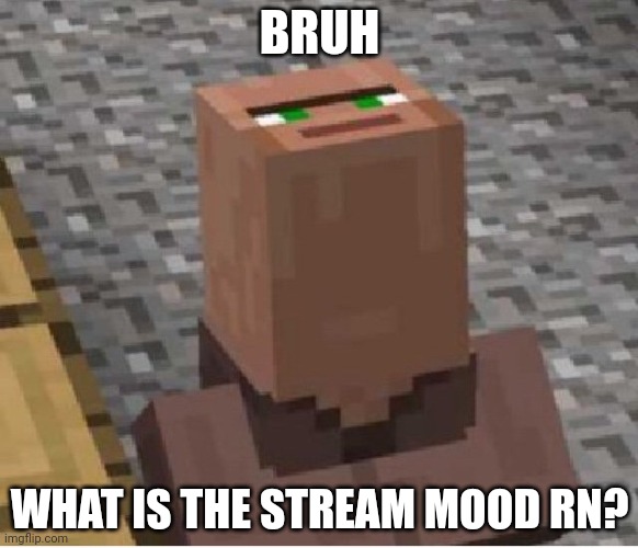 Also, hi chat | BRUH; WHAT IS THE STREAM MOOD RN? | image tagged in minecraft villager looking up | made w/ Imgflip meme maker