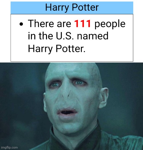 Yer wizards Harry | image tagged in voldemort | made w/ Imgflip meme maker