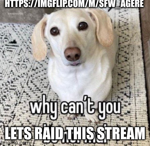 It's so fuсking cringe | HTTPS://IMGFLIP.COM/M/SFW_AGERE; LETS RAID THIS STREAM | made w/ Imgflip meme maker