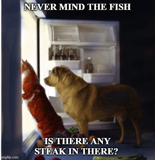 Cat-Dog | NEVER MIND THE FISH; IS THERE ANY STEAK IN THERE? | image tagged in cats,dogs,memes,fridge | made w/ Imgflip meme maker