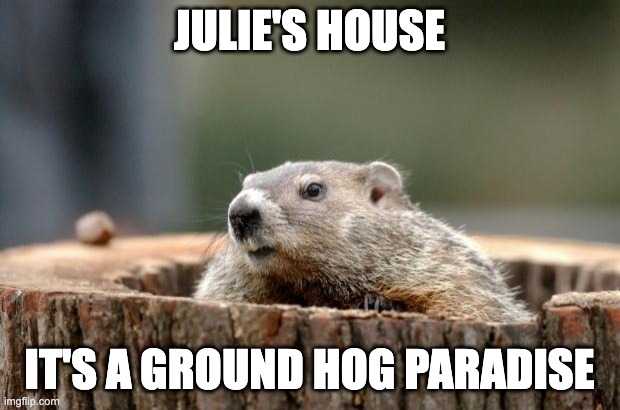 Groundhog | JULIE'S HOUSE; IT'S A GROUND HOG PARADISE | image tagged in groundhog | made w/ Imgflip meme maker