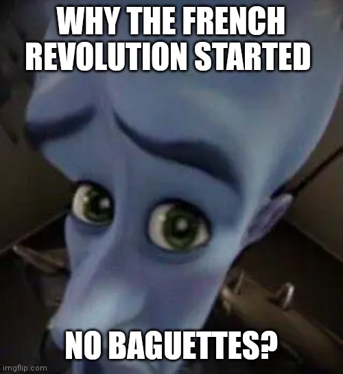 Why the French Revolution started | WHY THE FRENCH REVOLUTION STARTED; NO BAGUETTES? | image tagged in megamind no b | made w/ Imgflip meme maker