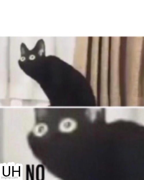 Oh no cat | UH | image tagged in oh no cat | made w/ Imgflip meme maker