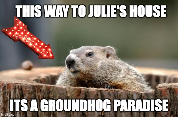 Groundhog | THIS WAY TO JULIE'S HOUSE; ITS A GROUNDHOG PARADISE | image tagged in groundhog | made w/ Imgflip meme maker