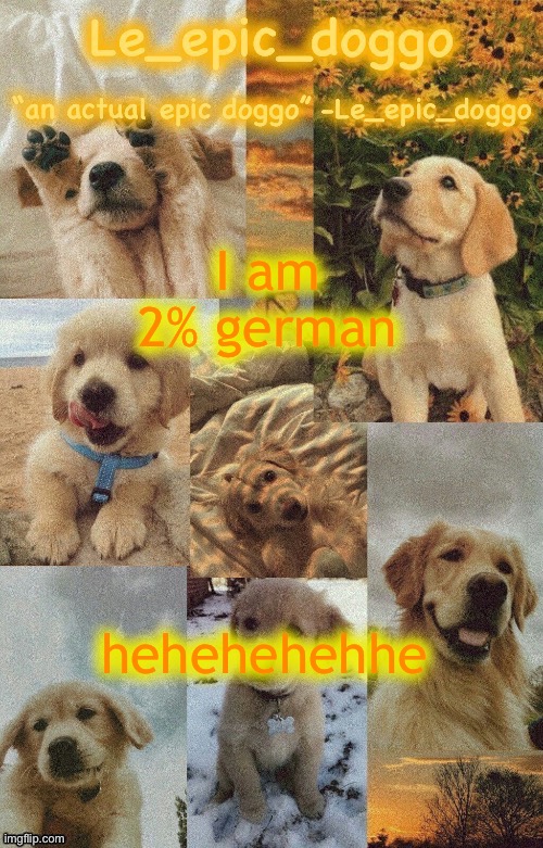 Doggo temp by doggo. Wait what that’s confusing | I am 2% german; hehehehehhe | image tagged in doggo temp by doggo wait what that s confusing | made w/ Imgflip meme maker