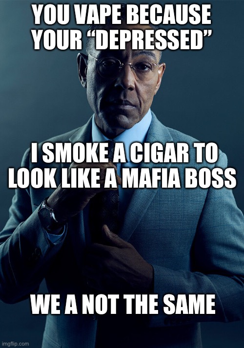 Andrew Tate 101 | YOU VAPE BECAUSE YOUR “DEPRESSED”; I SMOKE A CIGAR TO LOOK LIKE A MAFIA BOSS; WE A NOT THE SAME | image tagged in gus fring we are not the same | made w/ Imgflip meme maker