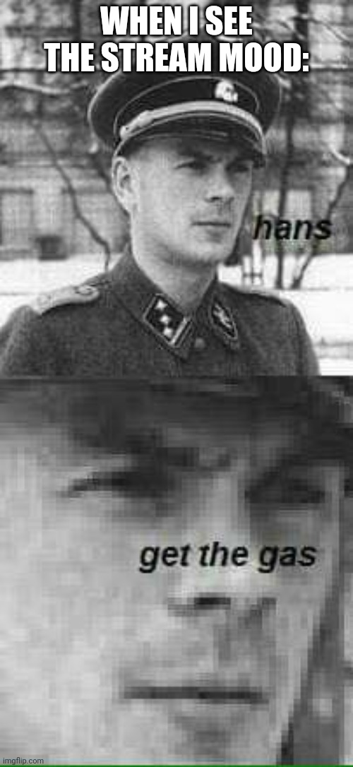 Spicy gas | WHEN I SEE THE STREAM MOOD: | image tagged in hans get the gas | made w/ Imgflip meme maker