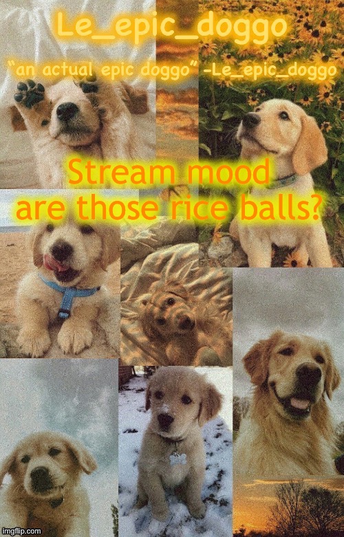 Doggo temp by doggo. Wait what that’s confusing | Stream mood are those rice balls? | image tagged in doggo temp by doggo wait what that s confusing | made w/ Imgflip meme maker