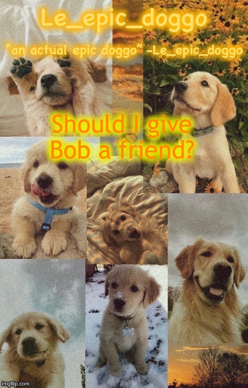 Doggo temp by doggo. Wait what that’s confusing | Should I give Bob a friend? | image tagged in doggo temp by doggo wait what that s confusing | made w/ Imgflip meme maker