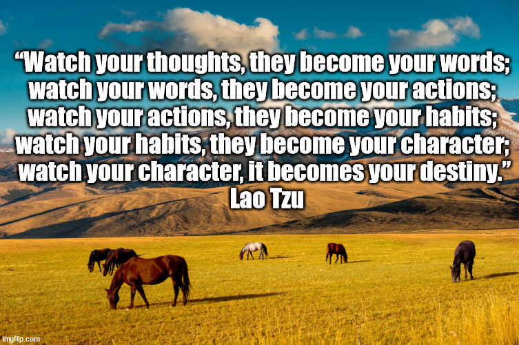 watch your thoughts | “Watch your thoughts, they become your words; 

watch your words, they become your actions; 

watch your actions, they become your habits; 

watch your habits, they become your character; 

watch your character, it becomes your destiny.”

 Lao Tzu | image tagged in horses pasture | made w/ Imgflip meme maker