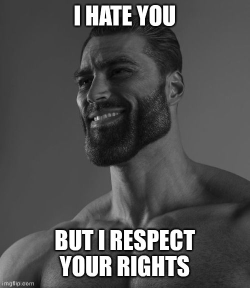 Based gigachad | I HATE YOU; BUT I RESPECT YOUR RIGHTS | image tagged in giga chad | made w/ Imgflip meme maker