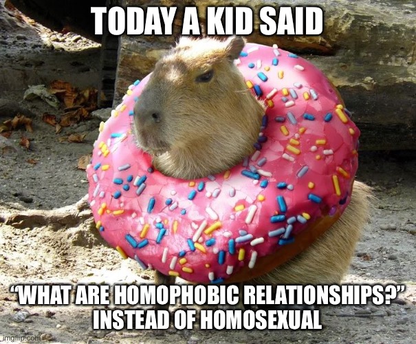 XD | TODAY A KID SAID; “WHAT ARE HOMOPHOBIC RELATIONSHIPS?”
INSTEAD OF HOMOSEXUAL | image tagged in coconut dog | made w/ Imgflip meme maker