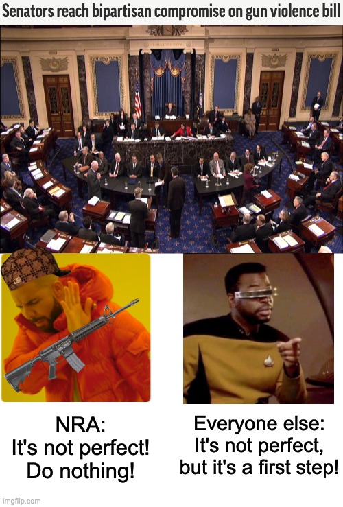 The journey of 40,000 lives/ year begins with a single background check | Everyone else:
It's not perfect, but it's a first step! NRA:
It's not perfect!
Do nothing! | image tagged in senate floor,guns,legislation,senate,nra,death | made w/ Imgflip meme maker