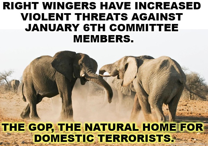 RIGHT WINGERS HAVE INCREASED 

VIOLENT THREATS AGAINST 
JANUARY 6TH COMMITTEE 
MEMBERS. THE GOP, THE NATURAL HOME FOR 
DOMESTIC TERRORISTS. | image tagged in right wing,neo-nazis,terrorists,threats,violence | made w/ Imgflip meme maker